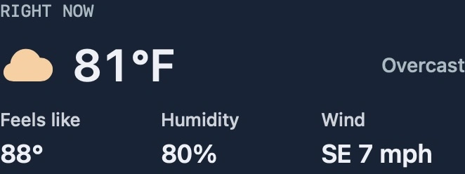 Native current conditions: 81°F, overcast, feels like 88°, humidity 80%, wind southeast at 7 mph.